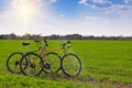 Two bikes in a field