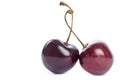 Two Bing Cherries