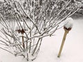 Two bird houses in garden covered in deep snow Royalty Free Stock Photo