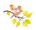 Two birds with autumn yellow leaves branch. Watercolor