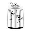 Two birds in a cage Royalty Free Stock Photo