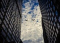 Two Birds Flying between large buildings on a cloudy day Royalty Free Stock Photo