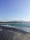 Two Birds On Gorgona Beach