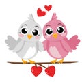 two birds in love on a twig on a white background Royalty Free Stock Photo