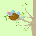 Two birds and a nest Royalty Free Stock Photo