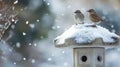 Two Birds Perched on a Snowy Stone Lantern Royalty Free Stock Photo