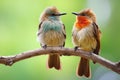 two birds perched together on a branch Royalty Free Stock Photo