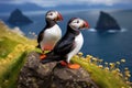Two birds sitting atop a rock overlooking a body of water, Puffins perch on a rock in front of the sea, AI Generated