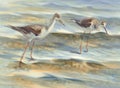 Two birds together by the sea watercolor