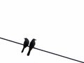 Two birds on the wire Royalty Free Stock Photo