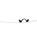 Two Birds On Wire Vector, Minimalist poster design isolated on white background, Scandinavian design, Wall Decals Royalty Free Stock Photo