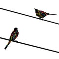 Two birds on wires. Vector background. Royalty Free Stock Photo
