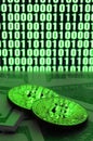 Two bitcoins lies on a pile of dollar bills on the background of a monitor depicting a binary code of bright green zeros and one u Royalty Free Stock Photo