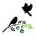 Two black bird silhouettes, one perched on a branch, one flying Royalty Free Stock Photo