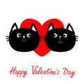 Two black cat head couple family icon. Red heart. Cute funny cartoon character. Happy Valentines day Greeting card. Kitty Whisker