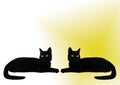 Two black cats Royalty Free Stock Photo