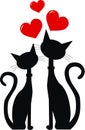 Two black cats in love Royalty Free Stock Photo