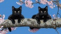 Two black cats are sitting on a branch of a tree, AI Royalty Free Stock Photo