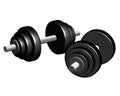 Two black dumbells Royalty Free Stock Photo