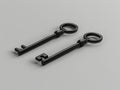 Two black keys on a gray background Royalty Free Stock Photo