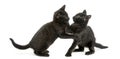 Two Black kittens playing, 2 months old, isolated Royalty Free Stock Photo