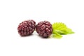 Two black mulberries fruits with leaf on white