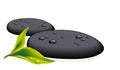 Two black pebbles with fresh leaf Royalty Free Stock Photo