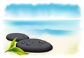 Two black pebbles with fresh leaf. Royalty Free Stock Photo