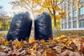 Two black plastic garbage bags filled with leaves. Royalty Free Stock Photo