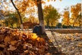 Two black plastic garbage bags filled with leaves. Royalty Free Stock Photo