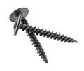 Two black screws isolated on white background Royalty Free Stock Photo