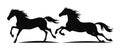 Two black silhouette horses running side by side. Galloping wild horses, free and powerful motion. Equestrian sport