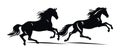 Two black silhouetted horses galloping side by side on a plain white background. Dynamic equestrian theme of animals in