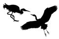 Two black silhouettes of Big White heron