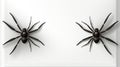 Two black spiders on a white surface. Generative AI image. Royalty Free Stock Photo