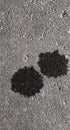 Two black spots of engine oil Royalty Free Stock Photo