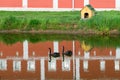A pair of black swans in a pond Royalty Free Stock Photo