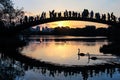 Two black swans on the lake while people on the bridge watching a wonderful sunset. Royalty Free Stock Photo