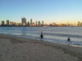 Two Black Swans on the shoreline of Swan River in Perth, Western Australia. Perth city skyline with its modern Royalty Free Stock Photo