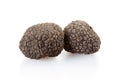 Two black truffles isolated on white Royalty Free Stock Photo