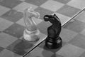 Two black and white chess knights opposite each other. Concept of conflict Royalty Free Stock Photo