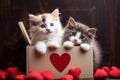 Two black and white fluffy kittens in a box with red hearts on a black background, Two black and white kittens in a cardboard box