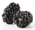 Two blackberries Royalty Free Stock Photo