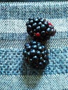 Two blackberries Royalty Free Stock Photo