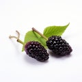 Two Blackberries With Green Leaf - Terada Katsuya Style Royalty Free Stock Photo