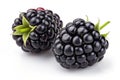 Two Blackberries - isolated Royalty Free Stock Photo