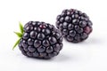 Two Blackberries - isolated Royalty Free Stock Photo