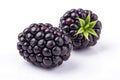 Two Blackberries - isolated Royalty Free Stock Photo