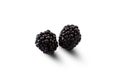 Two blackberries isolated on white background with a clipping path Royalty Free Stock Photo