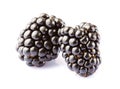 Two blackberries isolated on white background Royalty Free Stock Photo